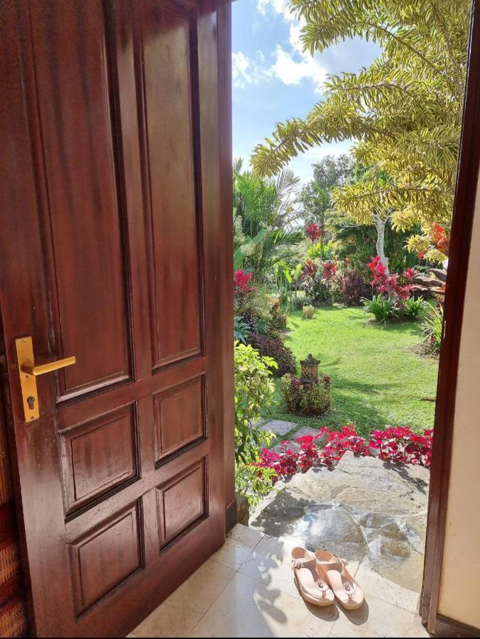 Sava Eco Retreat Hotel Padangan  Kültér fotó