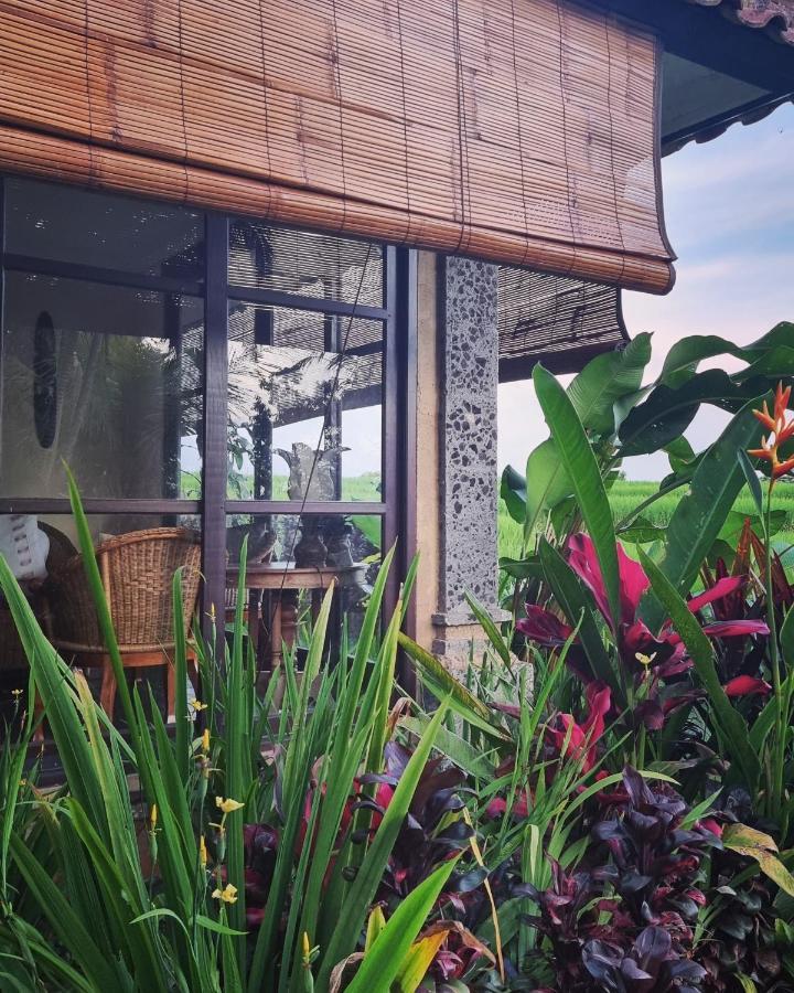 Sava Eco Retreat Hotel Padangan  Kültér fotó